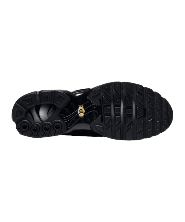 Nike Air Max Plus TN Sneaker Schwarz F050 - schwarz