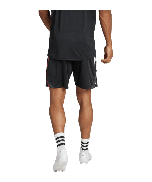 adidas Ajax Amsterdam Training Short Schwarz - schwarz