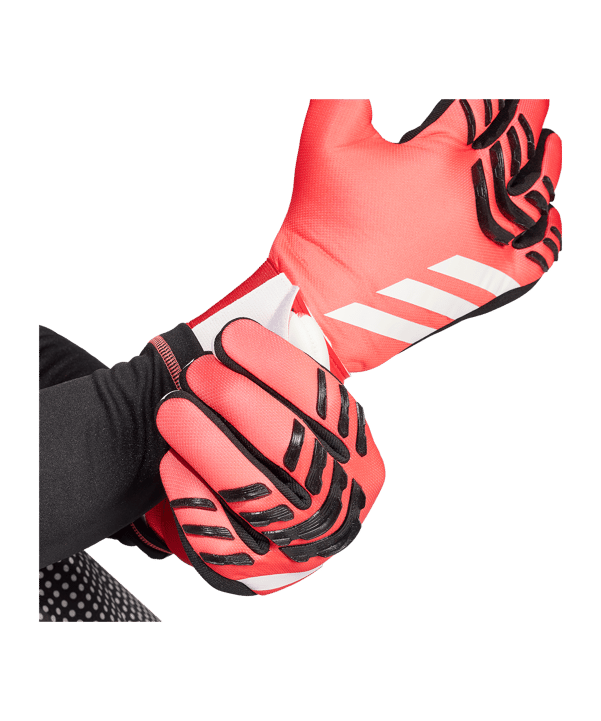 adidas Predator League Pure Victory Torwarthandschuhe Rot - rot
