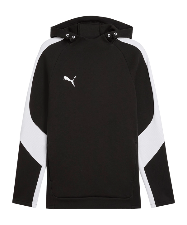 PUMA teamEvostripe Hoody Schwarz F03 - schwarz