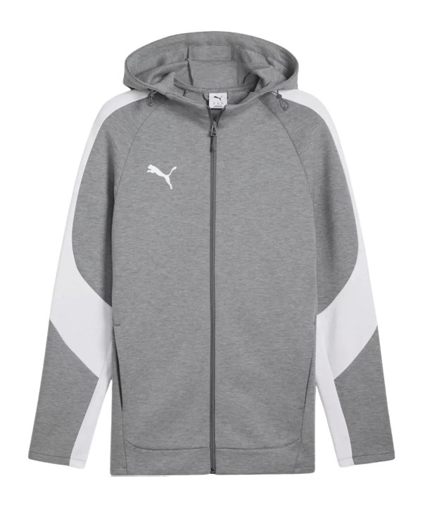 PUMA teamEVOSTRIPE Kapuzenjacke Grau F33 - grau