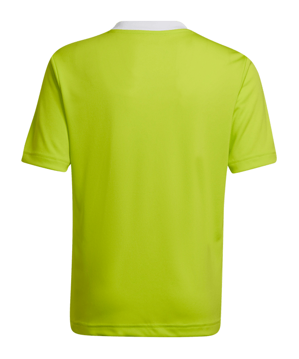 adidas Entrada 22 Trikot Gelb Weiss - gelb