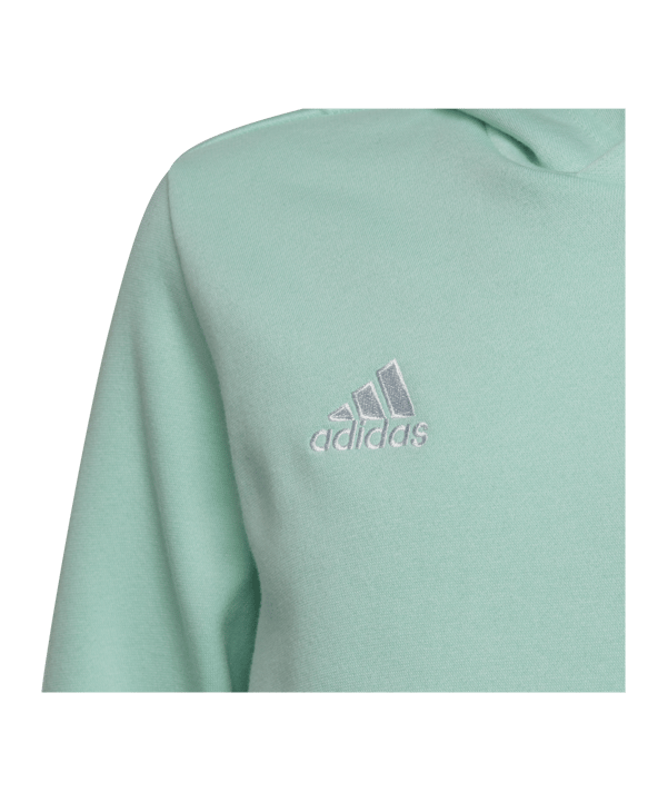 adidas Entrada 22 Hoody Kids Türkis - tuerkis