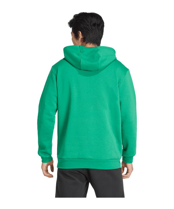 adidas Entrada 26 Hoody Grün - gruen
