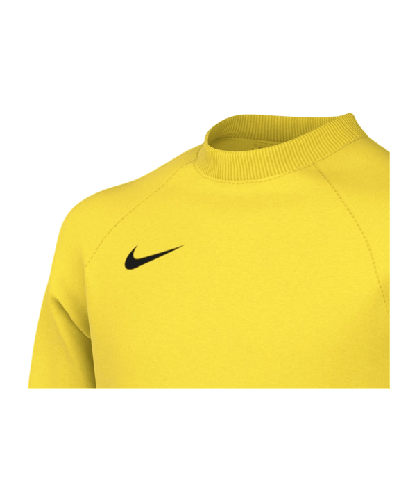 Nike Park VIII Trikot langarm Kids Gelb F719 - gelb