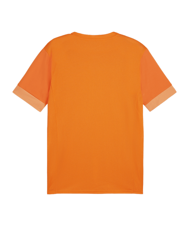 PUMA teamGOAL Matchday Trikot Orange Weiss F08 - orange