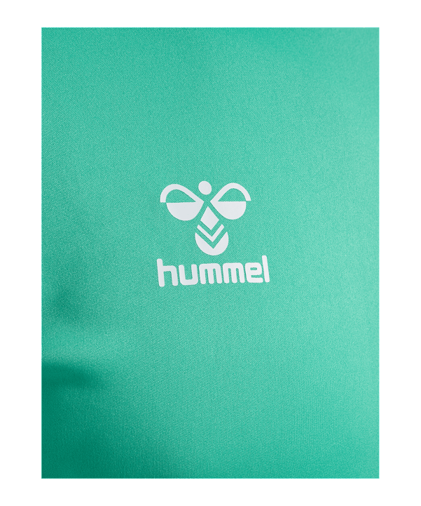Hummel hmlLOGO Training Set Grün F6507 - gruen