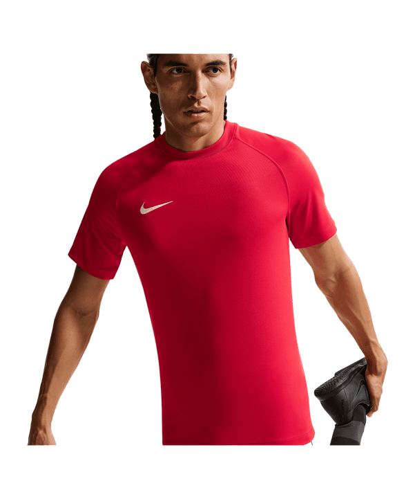 Nike Park VIII Trikot Rot F657 - rot