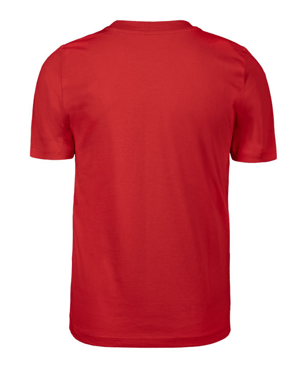 Nike TFF Turquie Bizim Cocuklar t-shirt  enfants rouge Ftffcz0909bizimrot - rouge