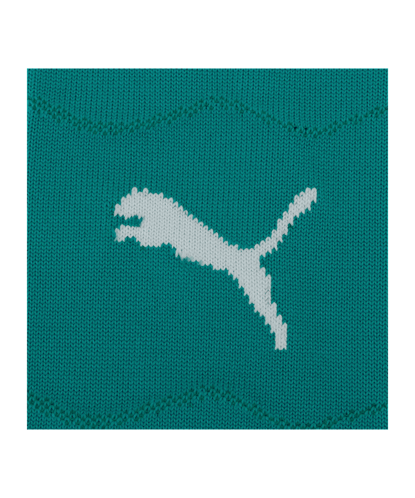 PUMA FPF Portugal Striped Strumpfstutzen Away WM 2026 Grün F07 - gruen