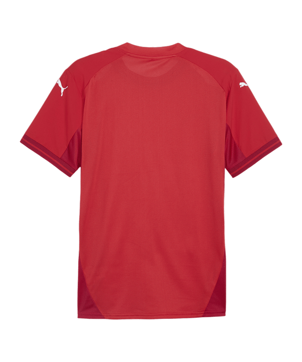 PUMA teamFINAL Trikot Rot Weiss Rot F01 - rot
