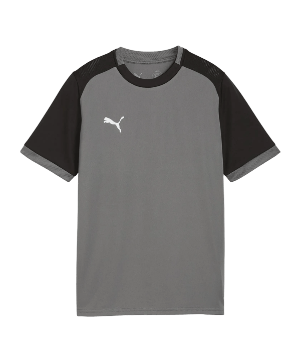 PUMA teamLIGA26 Matchday Trikot Kids Grau F13 - grau