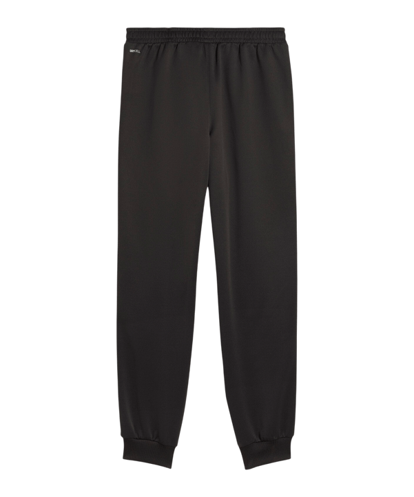 PUMA Galatasaray Istanbul KING Anthem Hose Grau F19 - grau