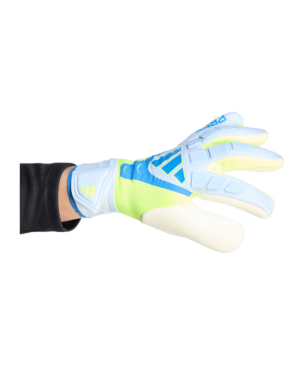 adidas Predator Competition Torwarthandschuhe Blau