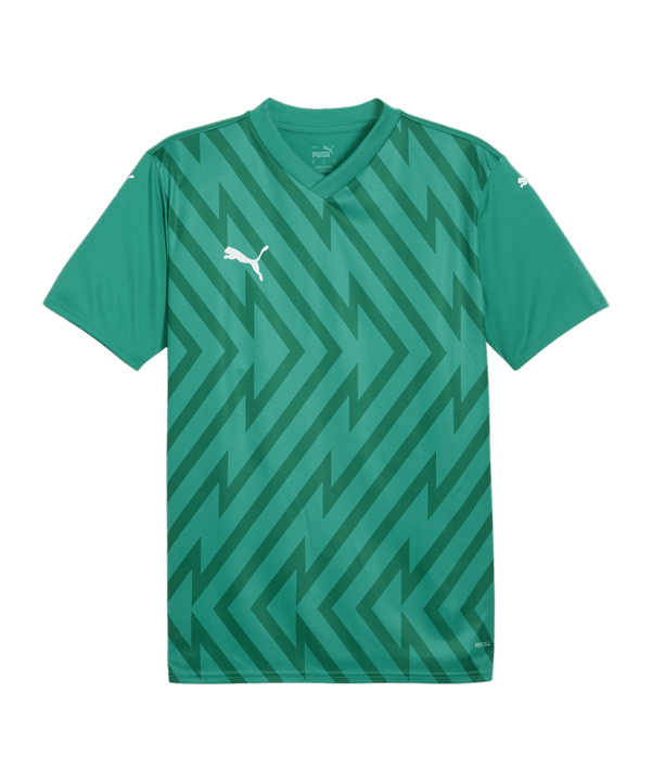 PUMA teamGLORY Trikot Grün Weiss Grün F05 - gruen