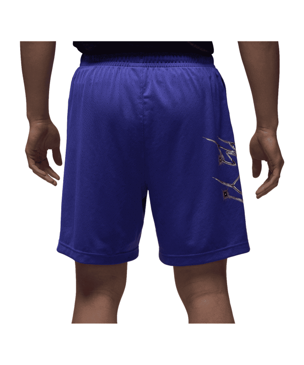 Jordan Graphic Short Lila F543 - lila