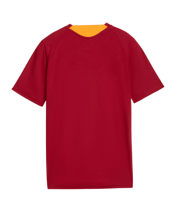 PUMA Galatasaray Istanbul Training Maillot Enfants Rouge C01 - rouge