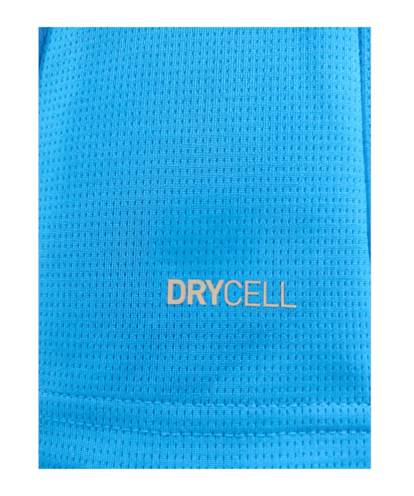 PUMA teamCUP Trikot Blau F002 - blau