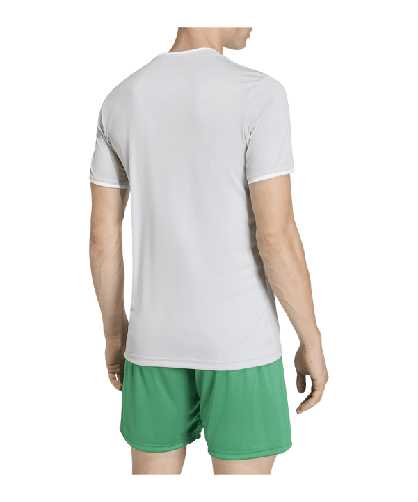 adidas Entrada 26 Trikot Grau - grau