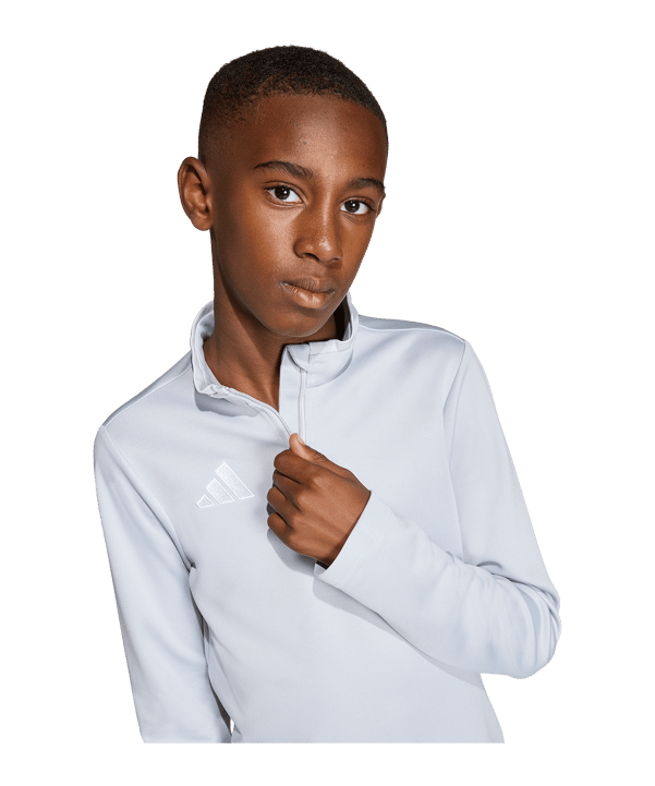 adidas Entrada 26 Training Sweatshirt Kids Grau - grau