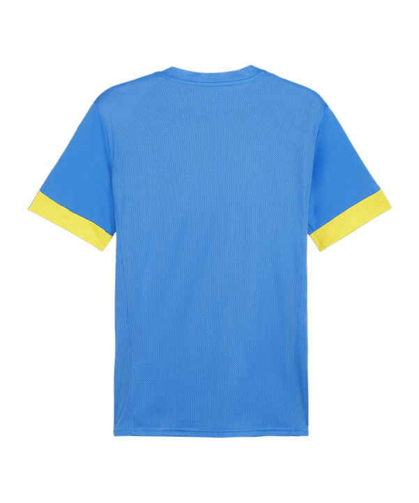 PUMA teamGOAL Matchday Trikot Blau Gelb F16 - blau