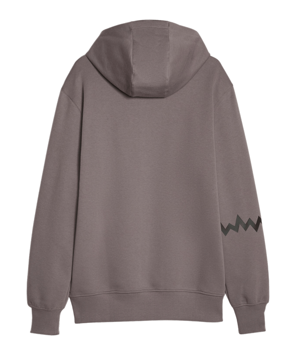 PUMA Hoops Team Hoody Grau F02 - grau