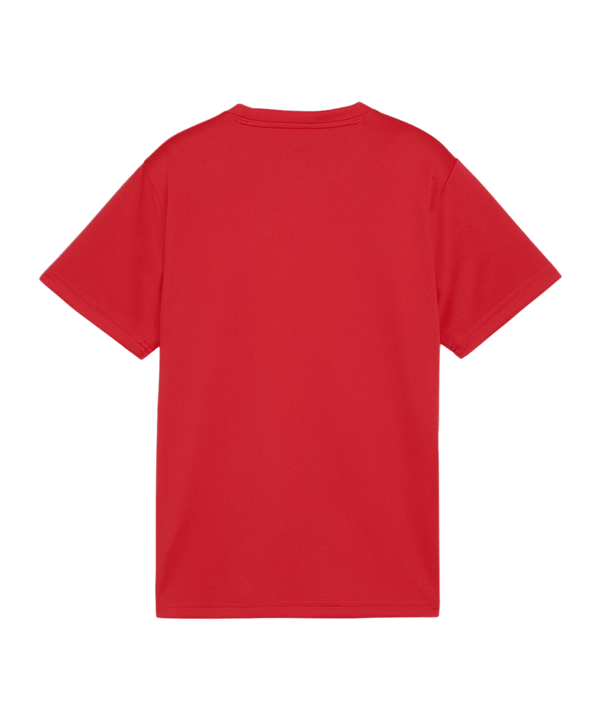 PUMA teamGOAL Trikot Kids Rot F01 - rot