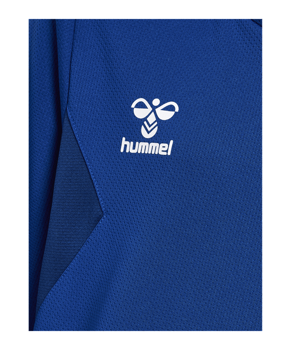 Hummel hmlAUTHENTIC PL Hoody Kids Blau F7045 - blau
