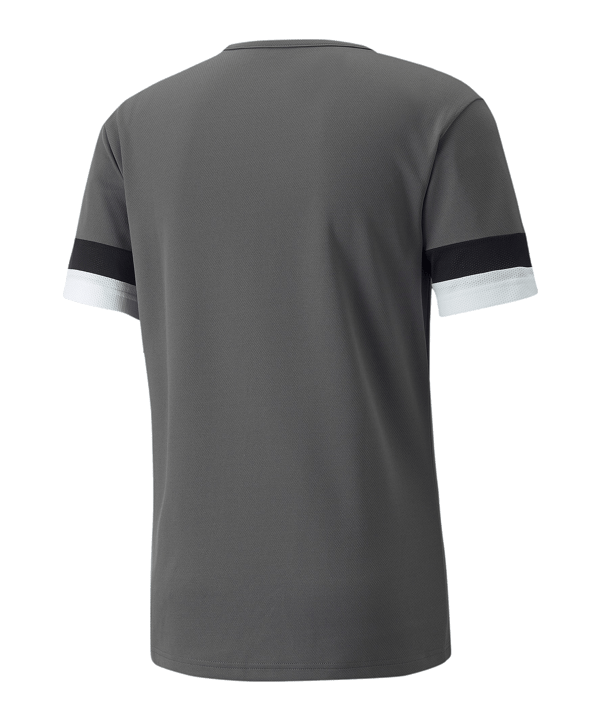 PUMA teamRISE Trikot Grau F13 - grau