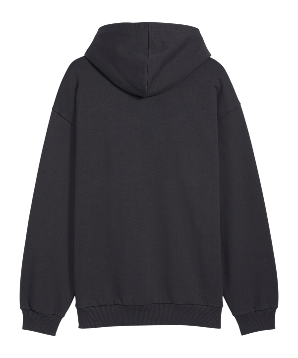 PUMA Galatasaray Istanbul ftblCulture Relaxed Hoody Grau F19 - grau