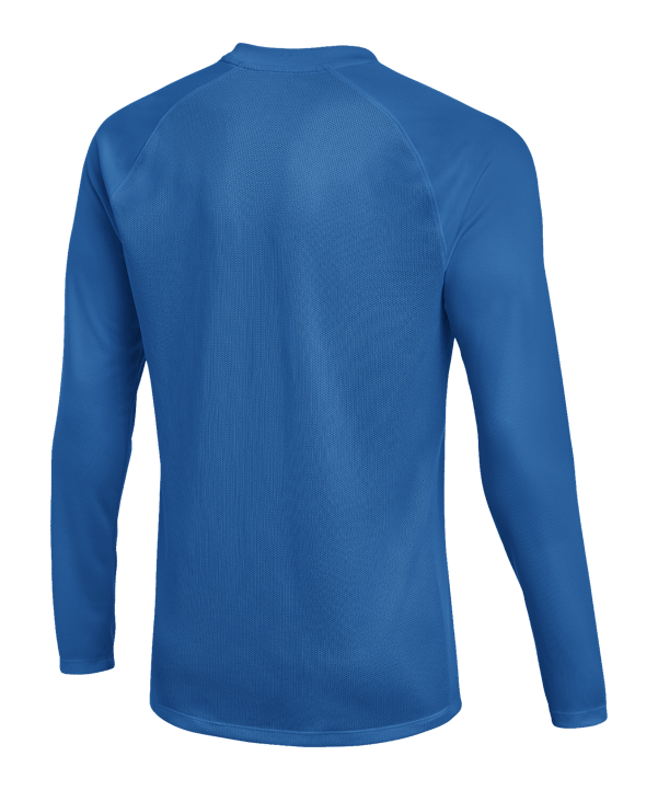 Nike Park VIII Trikot langarm Blau F463 - blau