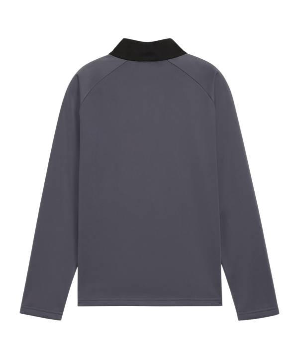 PUMA Sweatshirt Kids Grau F08 - grau