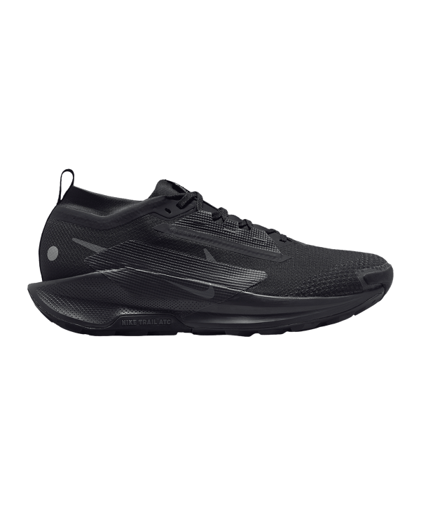 Nike Laufschuh Schwarz F002 - schwarz