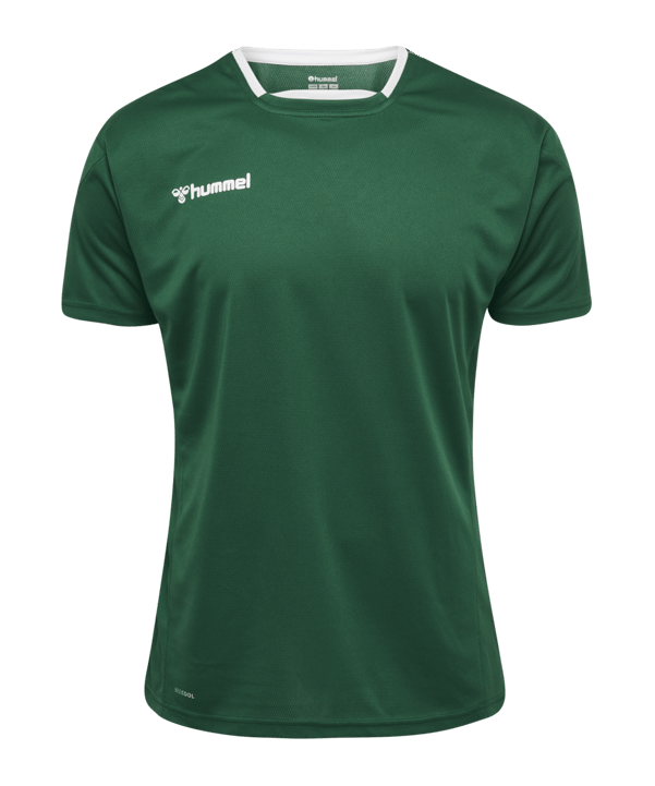 Hummel Authentic Poly Trikot kurzarm Kids F6140 - gruen