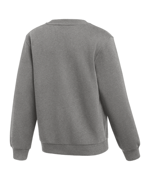 Nike Park 26 Sweatshirt Grau F063 - grau