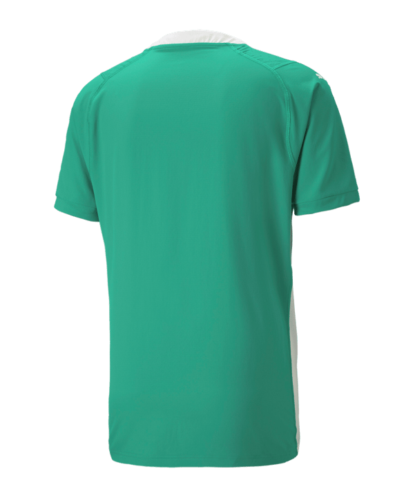 PUMA teamCUP Trikot Grün F05 - gruen