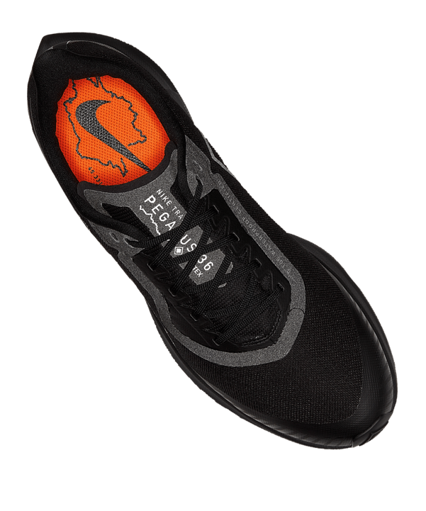 Nike Zoom Pegasus 36 Train GTX Running F001 - schwarz