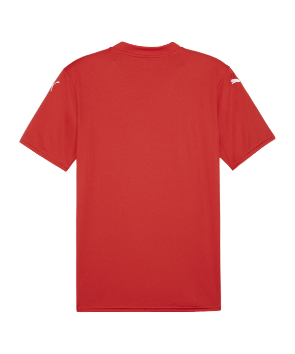 PUMA teamGLORY Trikot Rot Weiss Rot F01 - rot
