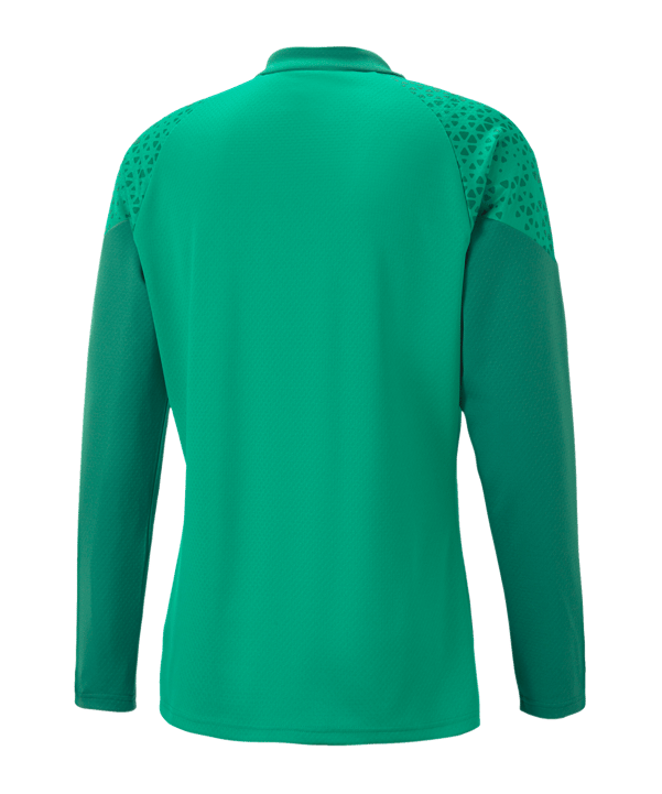 PUMA teamCUP HalfZip Sweatshirt Grün F05 - gruen