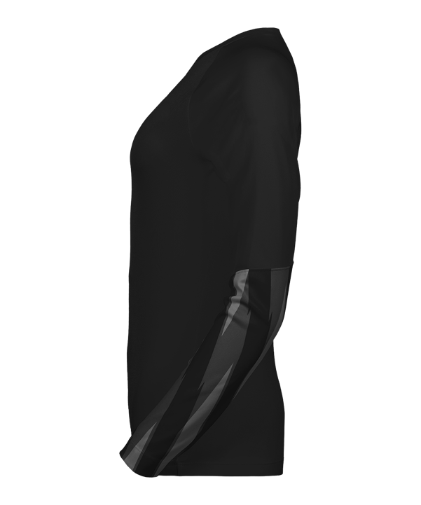 Nike Park V Torwarttrikot Langarm Damen Schwarz F010 - schwarz