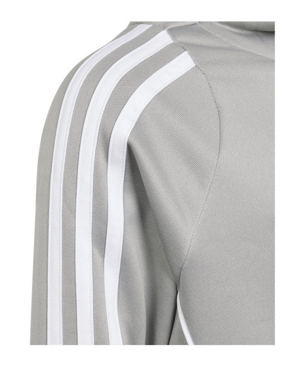 adidas Tiro 24 Training Hoody Kids Grau Weiss - grau