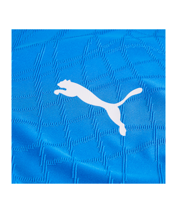PUMA teamFINAL26 Knit Maillot Bleu C02 - bleu