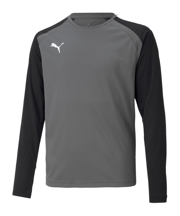 PUMA teamPACER Torwarttrikot langarm Kids F43 - grau