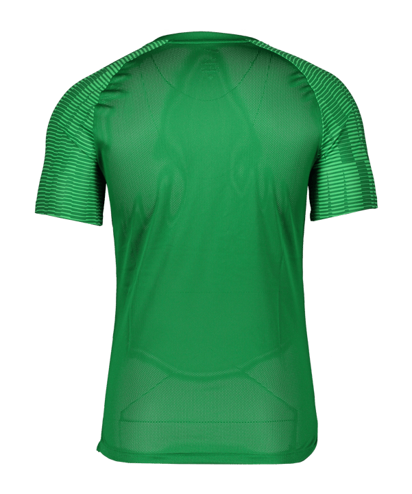 Nike Academy Trikot Grün Weiss F302 - gruen