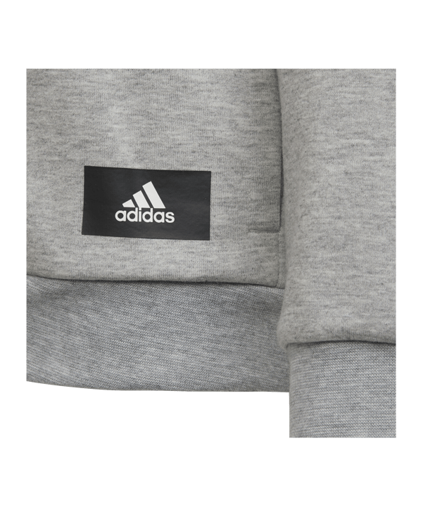 adidas Future Icons Kapuzenjacke Kids Grau Weiss - grau