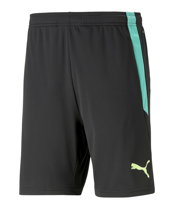 PUMA teamLIGA Short 2 Schwarz F51 - schwarz