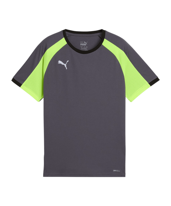 PUMA Trikot Kids Grau F08 - grau