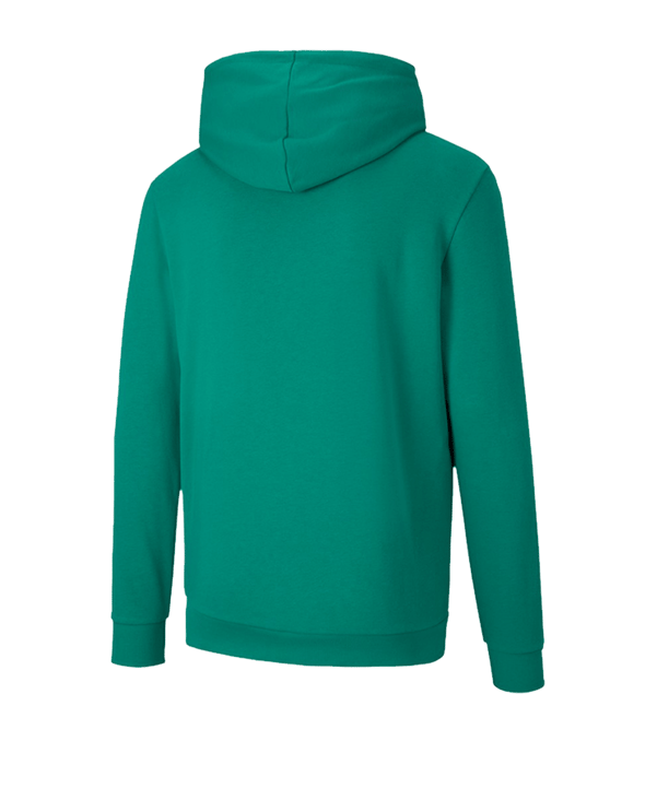 PUMA teamGOAL 23 Casuals Hoody Grün F05 - gruen