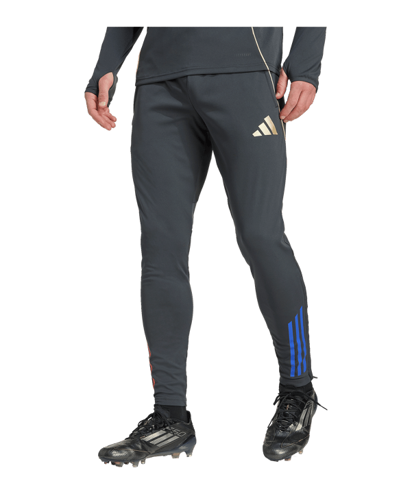 adidas Olympique Lyon Trainingshose Grau - grau