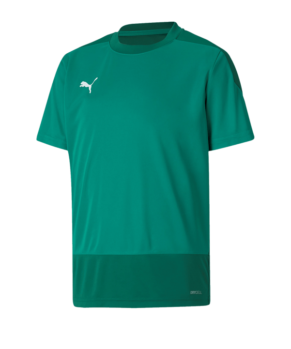PUMA teamGOAL 23 Training Trikot Kids Grün F05 - gruen